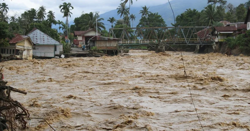 Endonezya da şiddetli yağışların yol açtığı afetler, orangutan popülasyonunu olumsuz etkiledi
