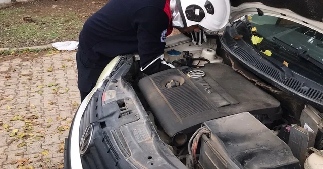 Üşüyen kedi, otomobilin motoruna girdi Hatay Haberleri