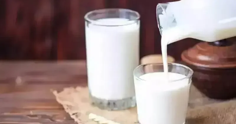 Et ve süt üreticileri: Süt arzındaki azalma mevsimsel; kısa sürede normale dönecektir