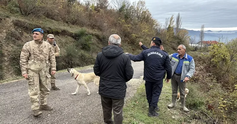 Defne yaprağı toplamak için ormana giden Zehra Teyze sırra kadem bastı