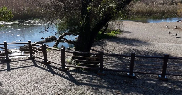 Akyaka Kadın Azmağında doğal dokuyu koruyan çalışma tamamlandı Muğla Haberleri