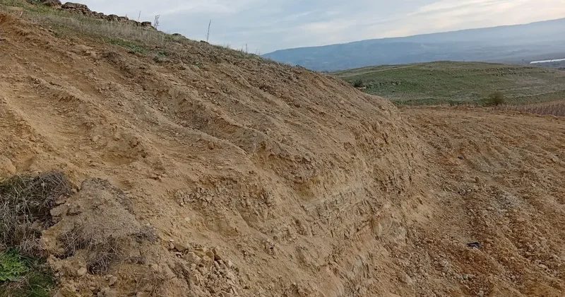 Arkeolojik sit alanında kaçak kazı yaptıkları belirlenen 9 şahıs gözaltına alındı