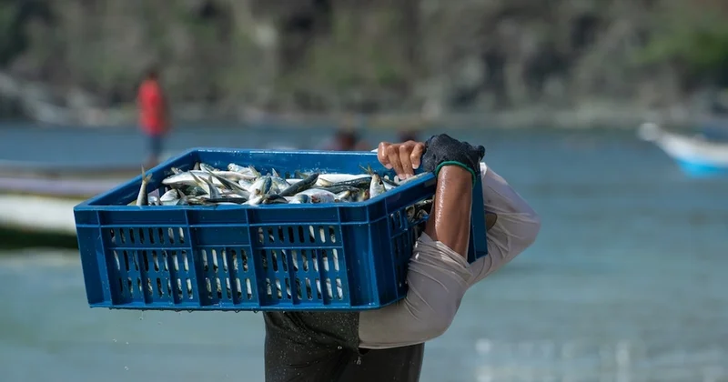 35 senelik sağlık uzmanı kışın yenmesi gereken tek balığı açıkladı Sözcü Gazetesi