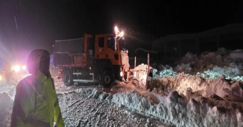 Kahramanmaraş’ta kar felaketi: Ahırlar çöktü 65 hayvan yaşamını yitirdi