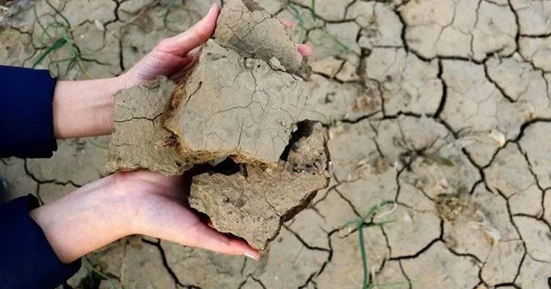 Kuvvetli yağışlar 7 yıllık kuraklığı bitirdi