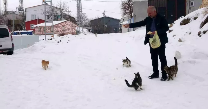 Kışın Terkedilmiş Köy: Sarıkaya