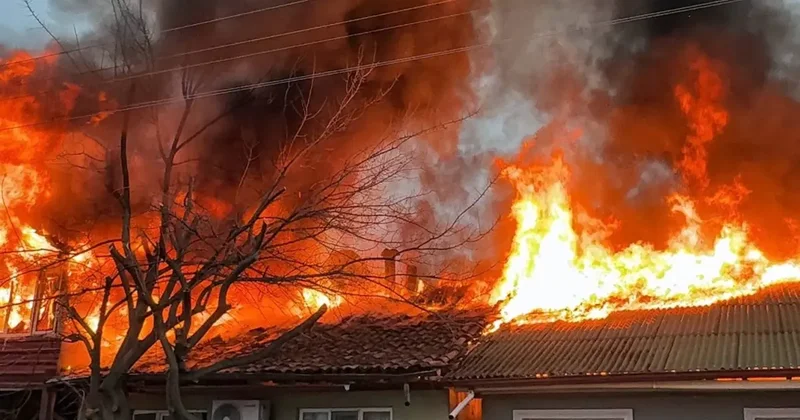 Kediler üşümesin diye yakılan soba faciaya dönüştü: İki ev küle döndü