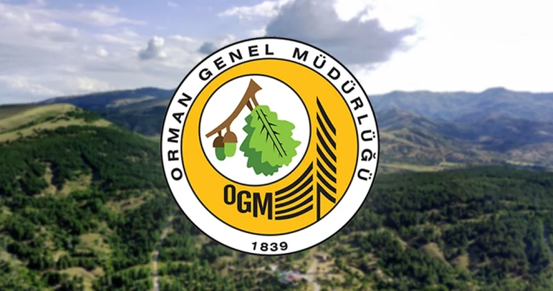 OGM 496 sözleşmeli personel alımı sonuçları açıklandı mı, ne zaman açıklanacak? OGM başvuru sonucu sorgulama ekranı