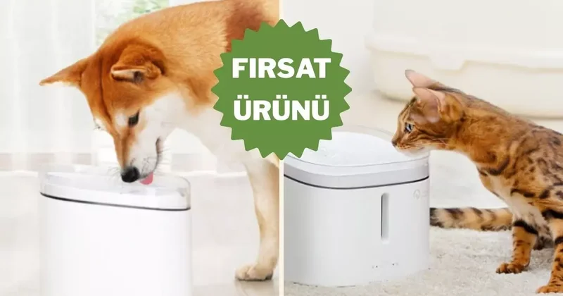 Temizlemesi kolay, kullanımı akıllı: Xiaomi evcil hayvan su çeşmesi indirime girdi