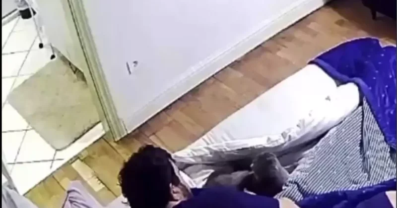 Eser Yenenler in kedisi 9 canlı çıktı