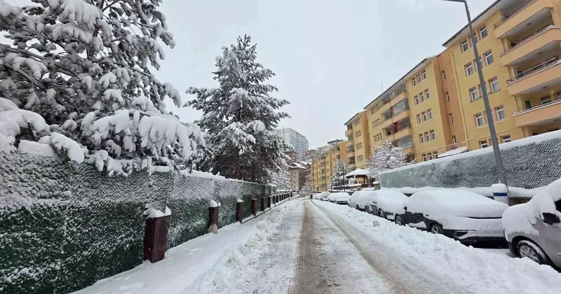 Gümüşhane’de kar 247 köy yolunu ulaşıma kapattı