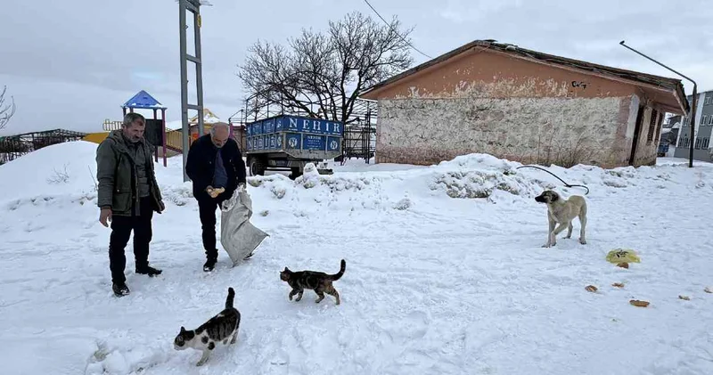 Kendi kendinin muhtarlığını yapıyor: Bu köyde sadece tek aile yaşıyor!