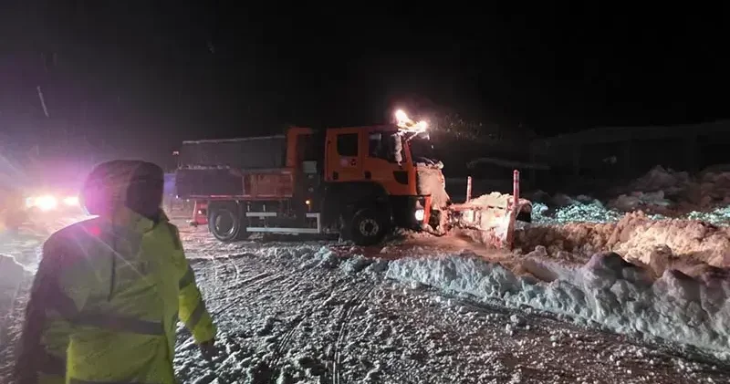 Kahramanmaraş’ta karla kaplı 3 ahırın çatısı çöktü; 65 büyükbaş öldü