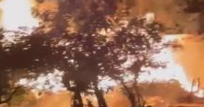 Odunlukta çıkan yangın korkuttu Sözcü Gazetesi