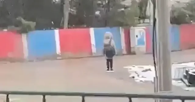 Koca yürekli miniğin İstiklal Marşı saygısı kamerada: Kar yağışına rağmen kıpırdamadan bekledi VİDEO İZLE