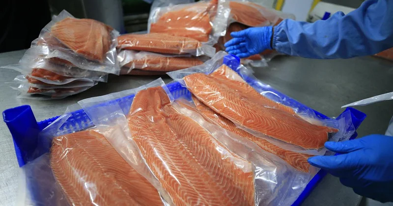 Su ürünleri ve hayvansal mamullerde ihracat çıtası yükseliyor