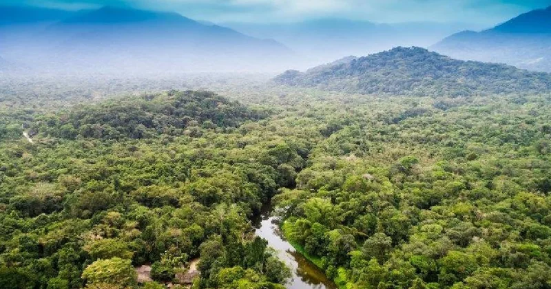 Amazon ormanlarında yeni bir yaratık bulundu: 5 metreden daha uzun Sözcü Gazetesi