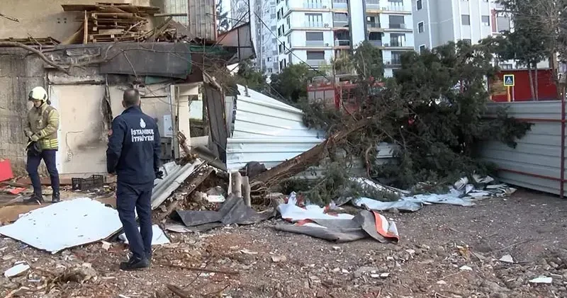 Maltepe’de kökünden kırılan ağaç park halindeki otomobilin üzerine devrildi
