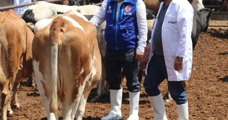 Diyanet Vakfı nda 10 milyar liralık karadelik iddiası! Sayıştay denetleyemiyor, iktidar hesap vermiyor