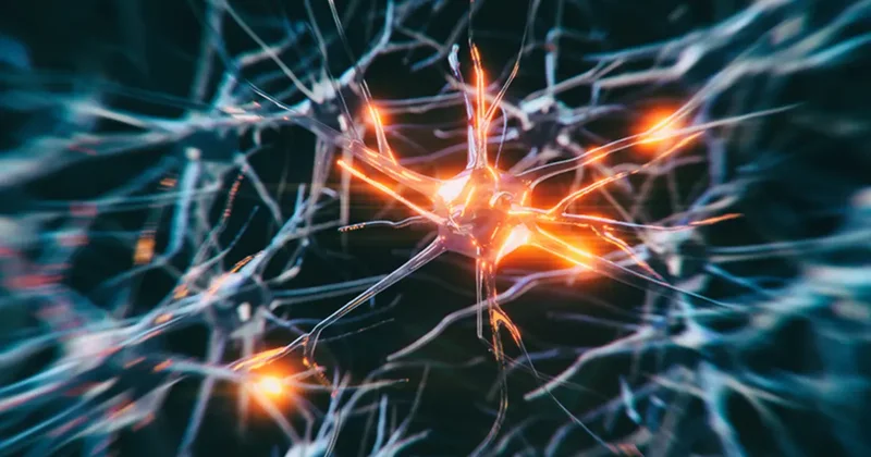 Zayıflama iğneleri hakkında yeni keşif: Beyin dalgalarını baskılıyor!