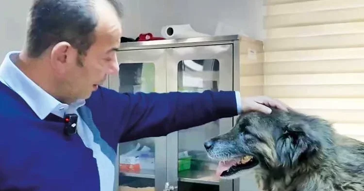 Acı üstüne acı çekmiş