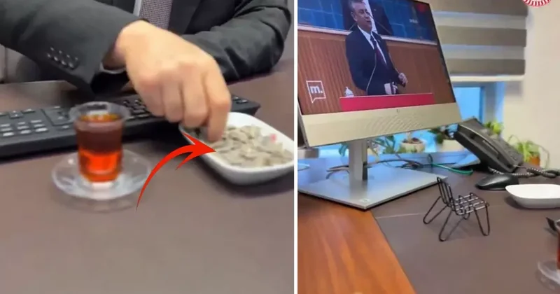 AK Partili vekil, Meclis te çekirdek çitleyip Özgür Özel i izledi