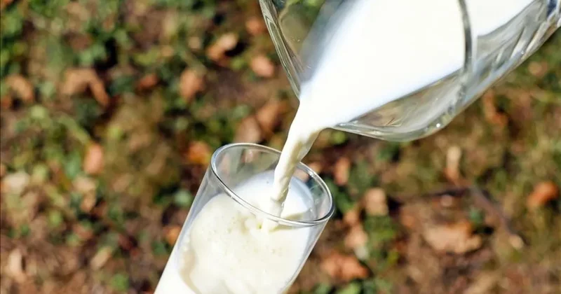 TÜİK açıkladı: Ayran, kefir ve yoğurt üretimi arttı