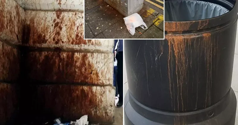 İngiltere de paan alarmı! Artık 6 bin TL ceza kesilecek