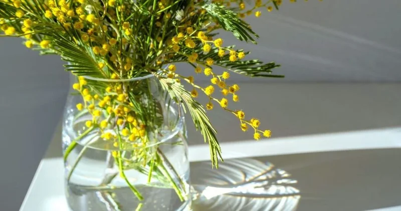 Evin enerjisi nasıl yükseltilir?