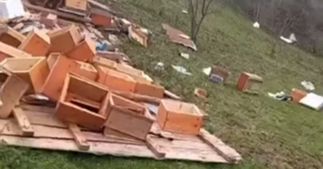 Türkeli de fırtına arıcılığı vurdu: Onlarca kovan zarar gördü Sinop Haberleri