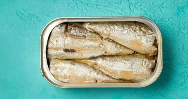 Bu balık saçların beyazlamasını önlüyor Sözcü Gazetesi