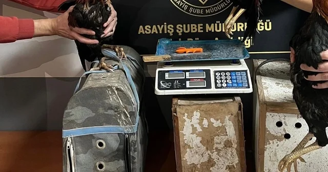 Karabük te asayiş uygulamalarında aranan 100 kişi yakalandı Asayiş denetimlerinde 31 kişiye 317 bin 520 TL para cezası kesildi Karabük Haberleri