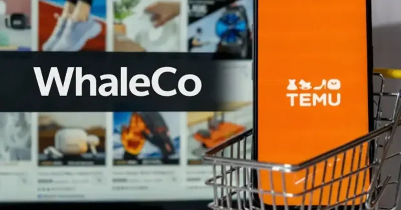 UPS ten faturalarını ödemeyen Temu ya 37 milyon euroluk dava