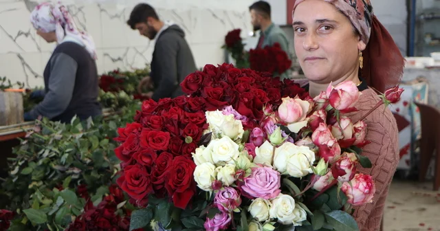 Eşi ile sevgililere rengarenk güller yetiştirdi Adana Haberleri