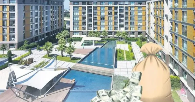 Arabanın bagajında bırakılan 30 milyon dolar çalındı