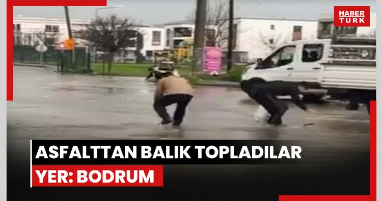 Asfalttan balık topladılar