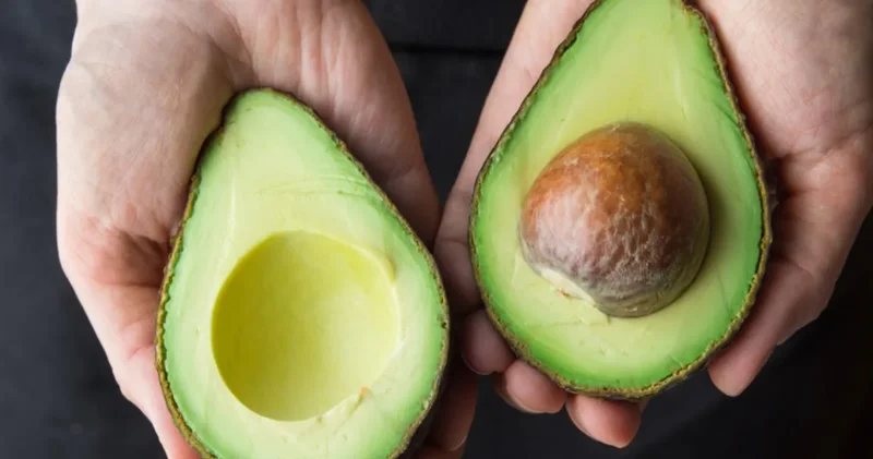 Avokadoda kanserojen ağır metal çıktı! Avrupa dan uyarı geldi