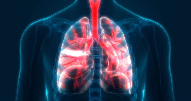 Bu belirtiler akciğer sönmesine işaret! Haberler Sağlık Haberleri