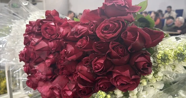 Yalova da çiçek mezadında 14 Şubat yoğunluğu Yalova Haberleri