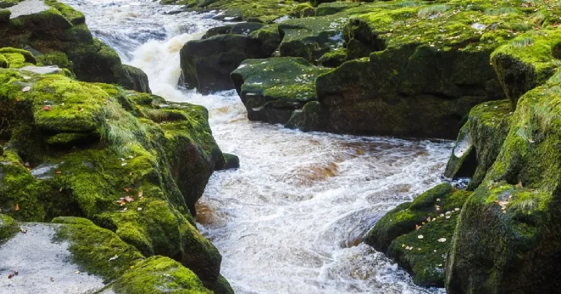 15 otobüs derinliğinde dünyanın en tehlikeli nehri: Bu suya dokunmak bile yasak Sözcü Gazetesi
