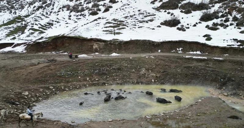 Köylüler kilometrelerce yol geliyor: Fotoğrafçılar çekmek için sıraya giriyor