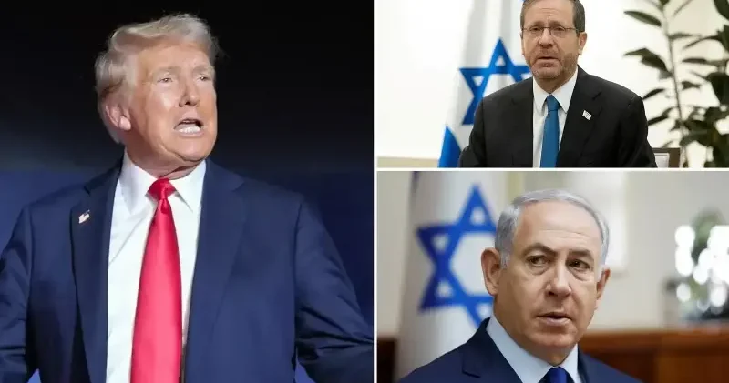 Trump tan Herzog a Netanyahu fırçası: Onu affetmemek utanç verici Dünya Haberleri