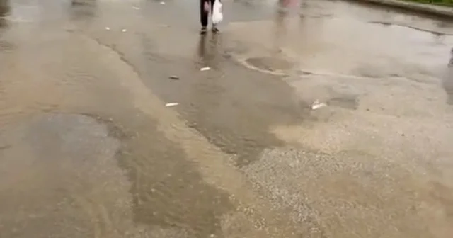 Bodrum da sağanak baskını: Gölet taştı, asfalta balık yağdı Vatandaşlar asfalttan balık topladı Muğla Haberleri