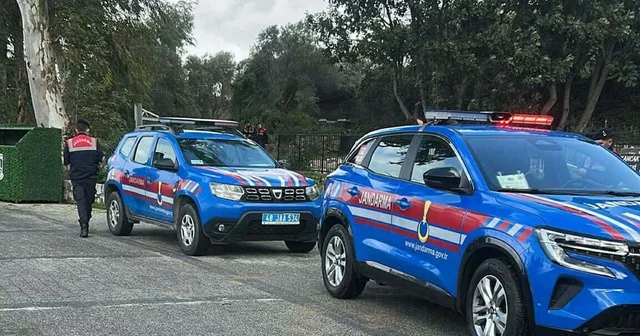 Bodrum da 2 köpeğin öldürülmesi olayında savcılık itirazı sonrası tutuklama talebi Muğla Haberleri