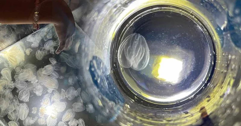 Durdurulamıyor, her şeyi yutuyor! Koca ekonomi çökmek üzere: Sakın hafife almayın! Sözcü Gazetesi