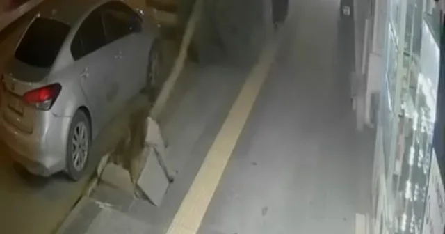 Tokat ta fırtına ağacı devirdi, vatandaş saniyelerle kurtuldu Tokat Haberleri