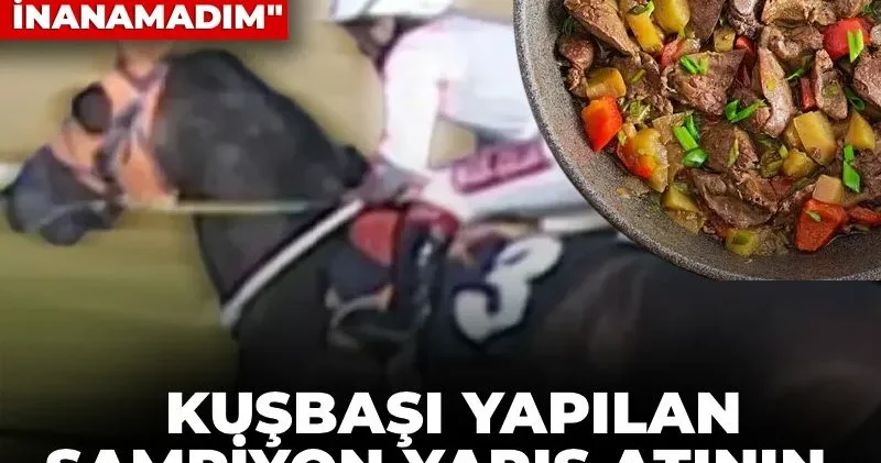 Kuşbaşı yapılan şampiyon yarış atının sahibi ortaya çıktı! Şubeden aradılar inanamadım