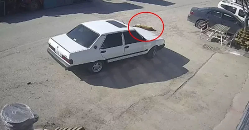 Allah ıslah etsin! Mübarek Ramazan günü kaydedilen görüntüye bakın