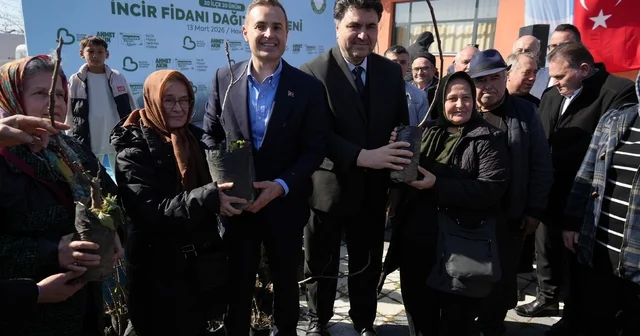 Havran da 102 çiftçiye 2 bin 500 incir fidanı dağıtıldı Balıkesir Haberleri