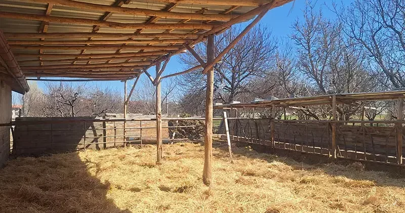 Sanal medyada tepki çeken besi çiftliğinde denetleme